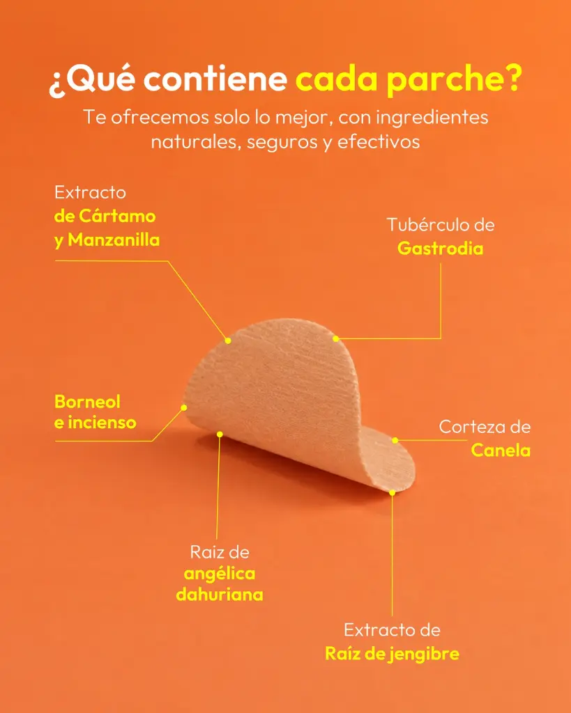LH-8AGR-20J4_adicional6 - The Nausea Patch.webp